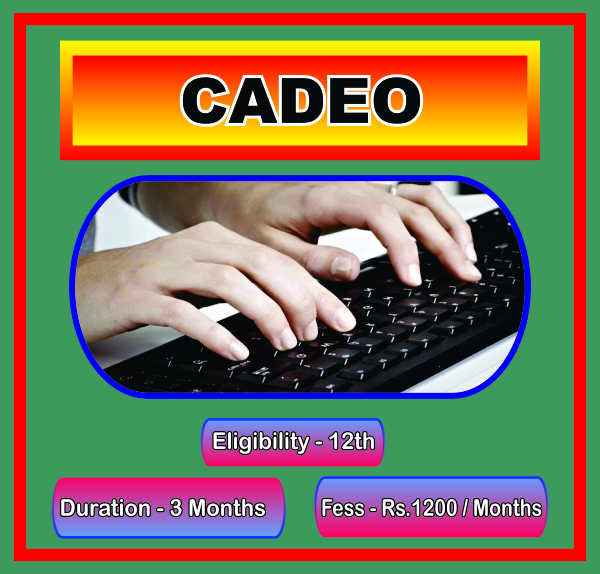 CERTIFICATE IN ADVANCED DATA ENTRY ORATOR